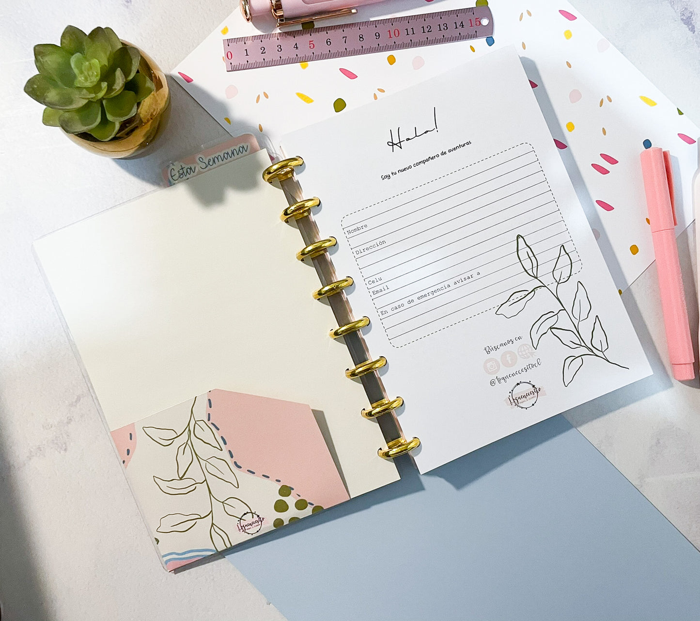 Cuaderno Discos abstracto botánico