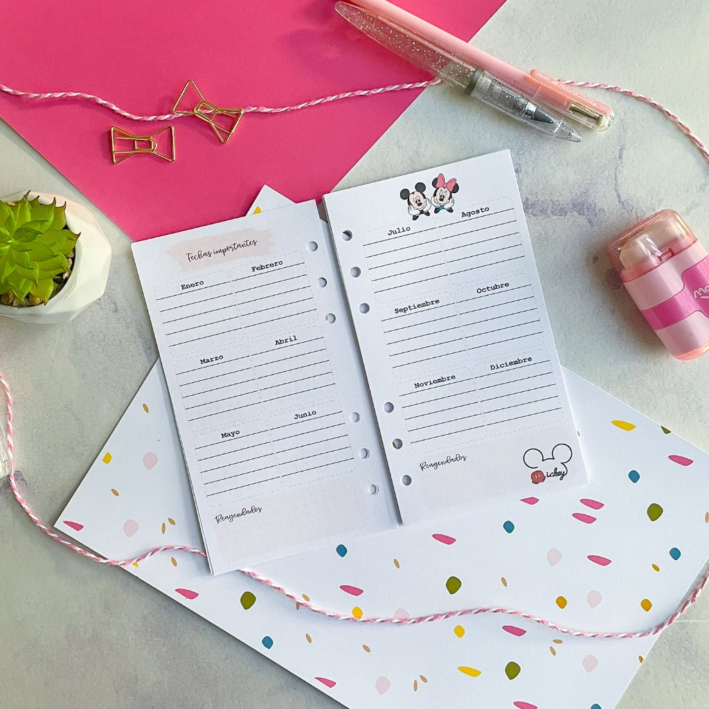 Insert A6 (Personal) Minni y mickey