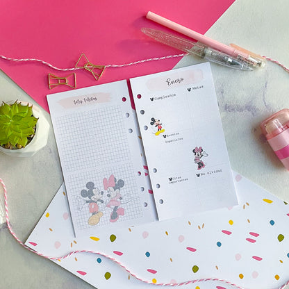 Insert A6 (Personal) Minni y mickey