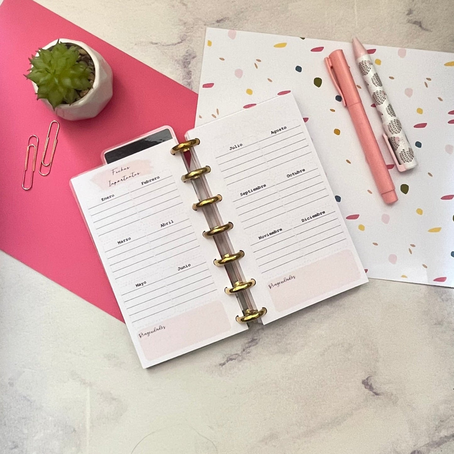 Cuaderno Discos Minnie Mickey