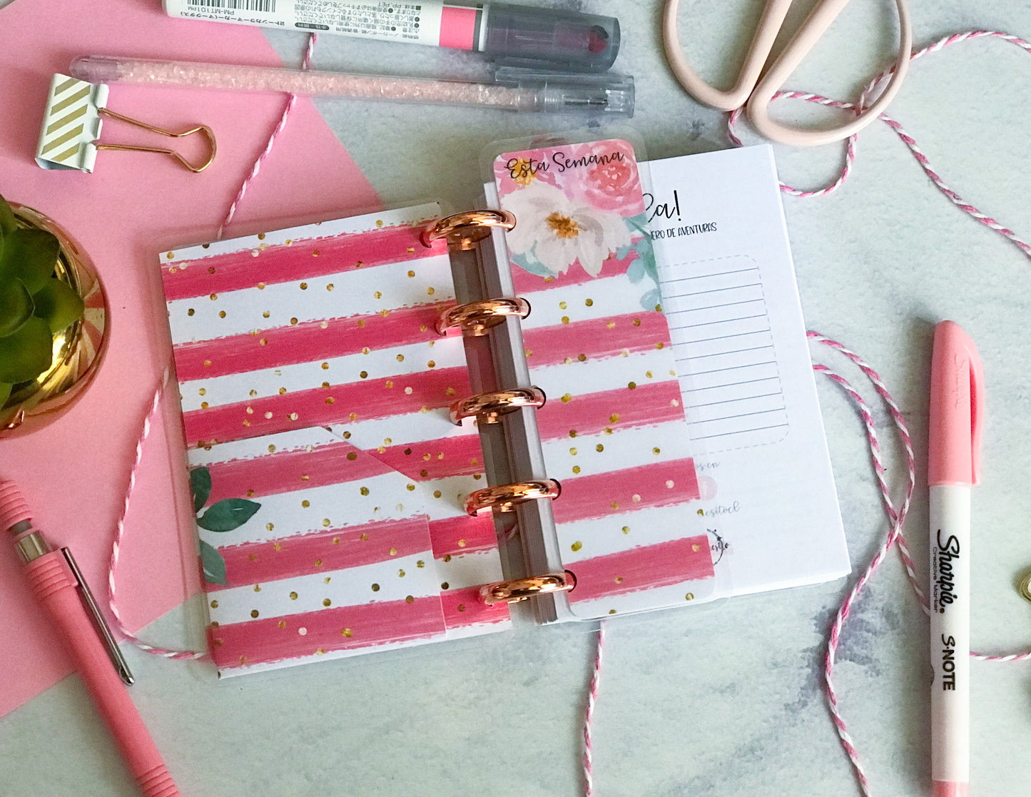 Cuaderno Intenté ser normal