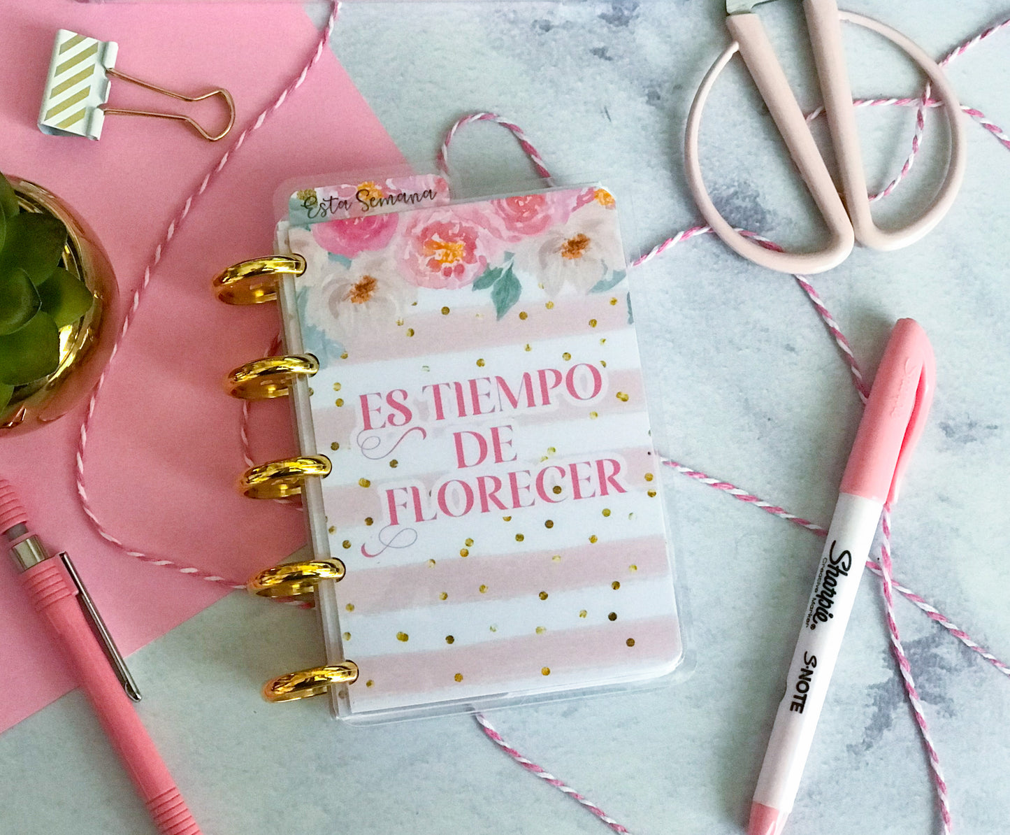 Cuaderno Discos Es tiempo de florecer